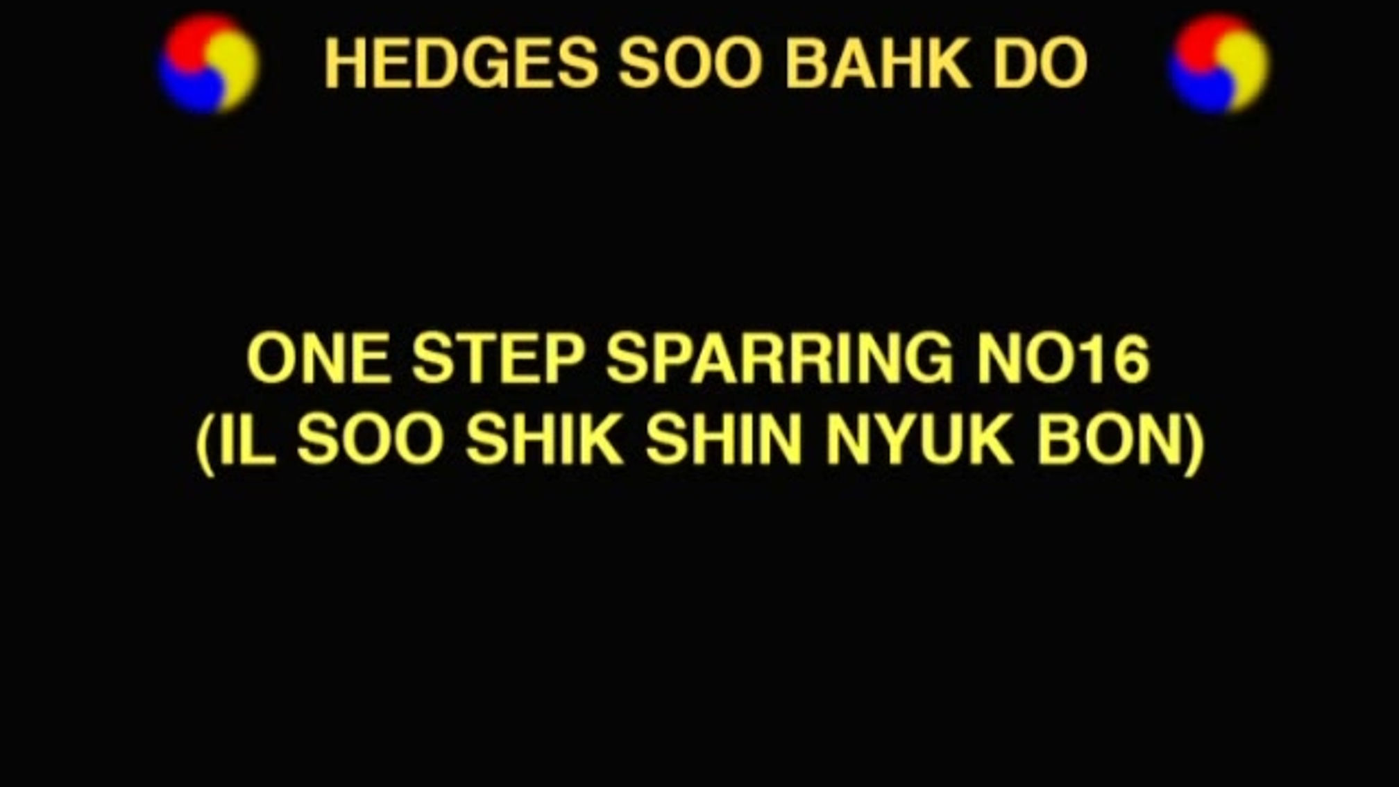 One Step Sparring 15+16